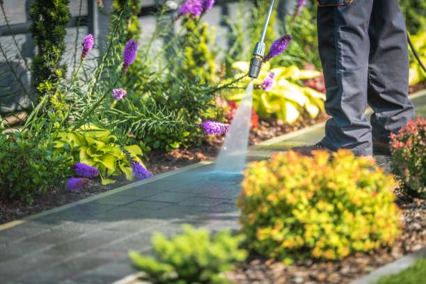 Best Spring Cleaning  in Charter Oak, CA